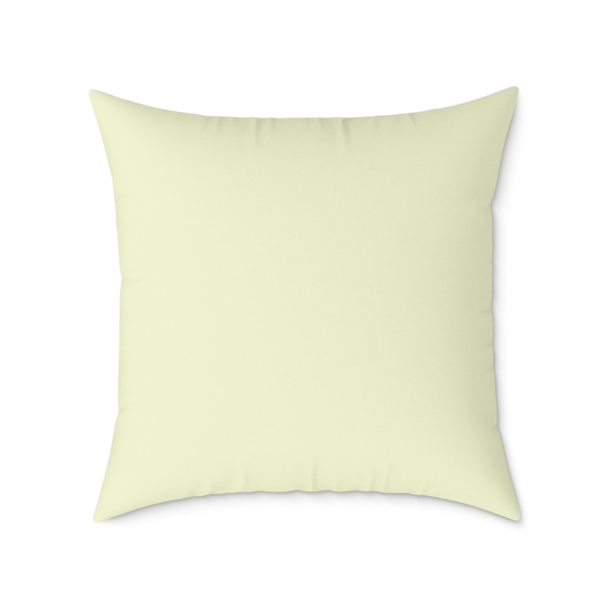 Cookie the Fun Lover Capybara Cartoon Pillow, Cute Kawaii Animal Gift