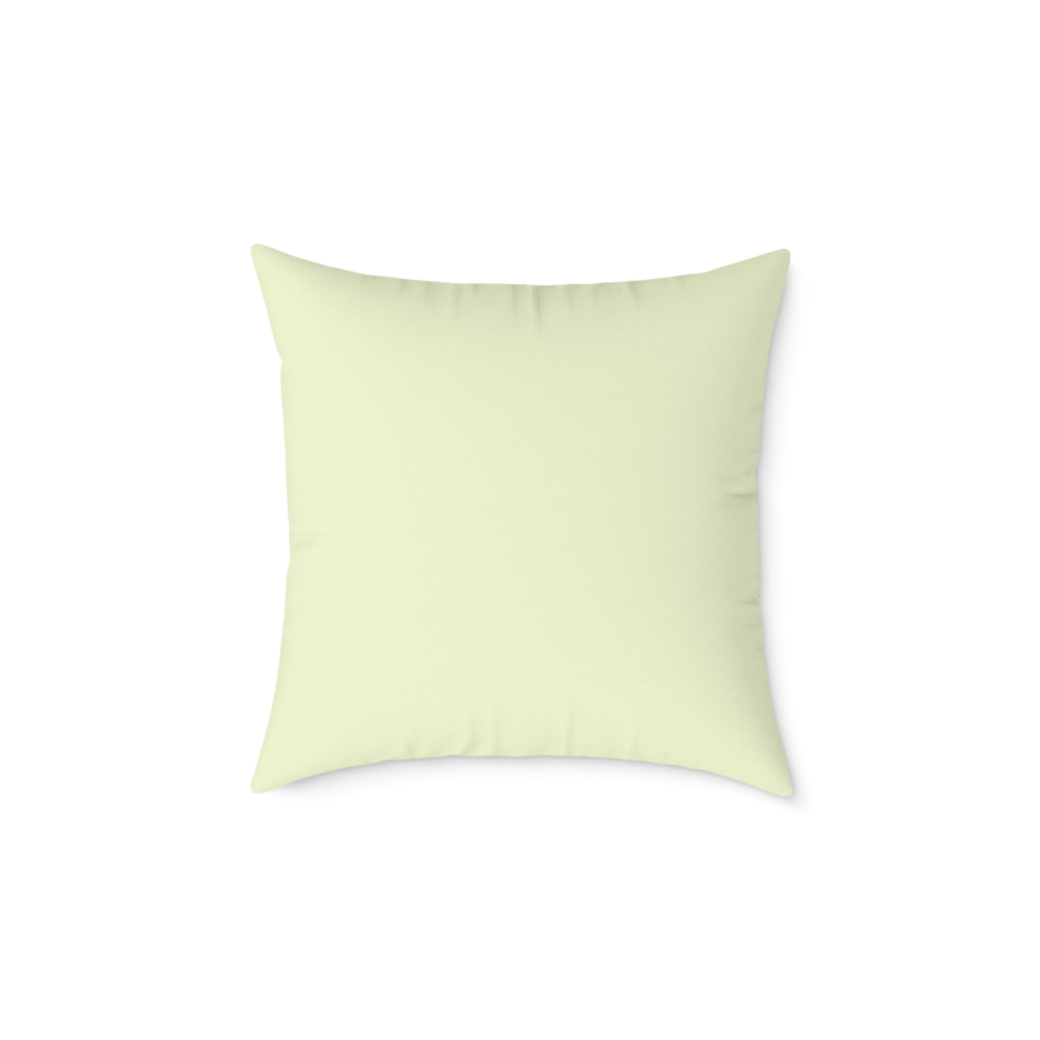 Cookie the Fun Lover Capybara Cartoon Pillow, Cute Kawaii Animal Gift