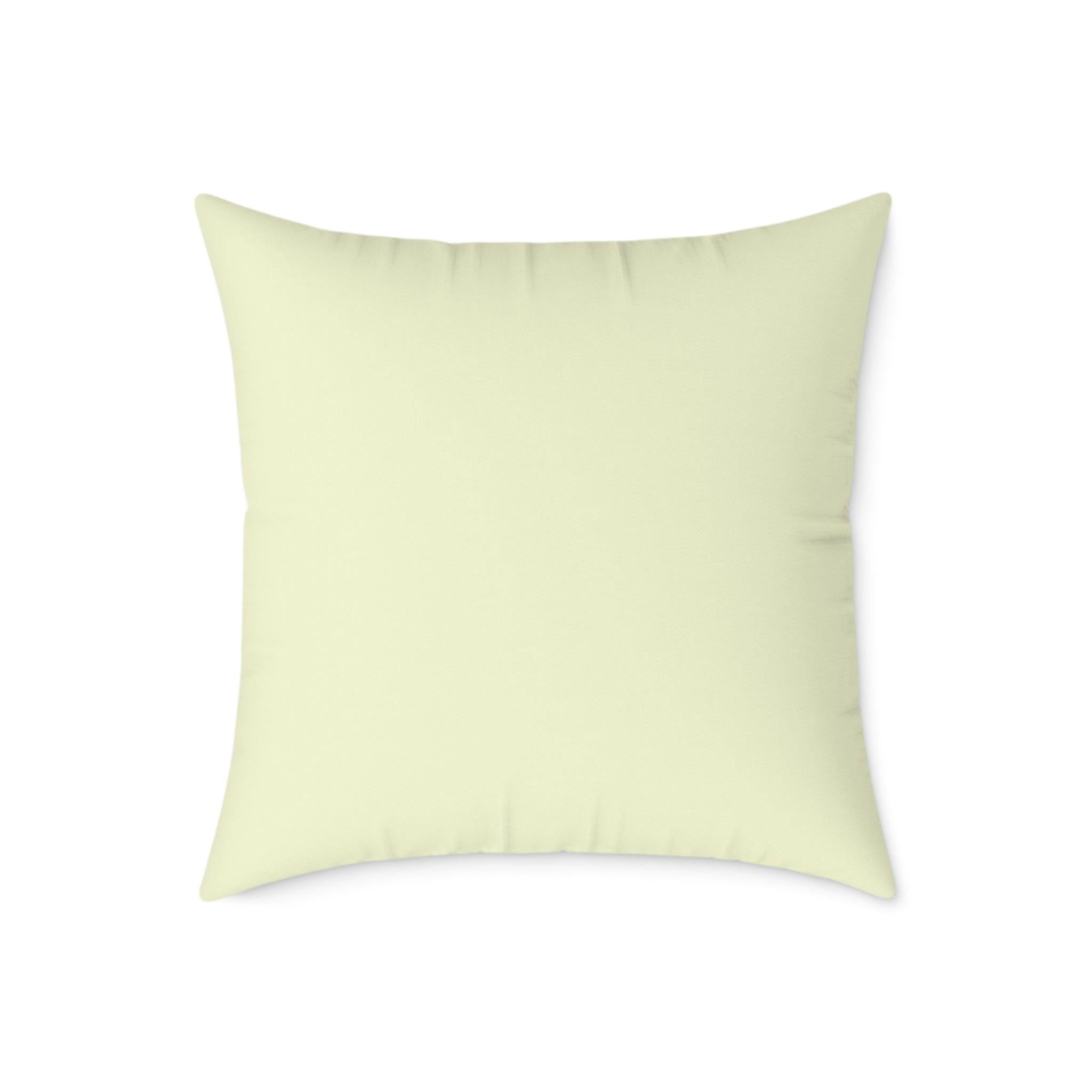 Cookie the Fun Lover Capybara Cartoon Pillow, Cute Kawaii Animal Gift